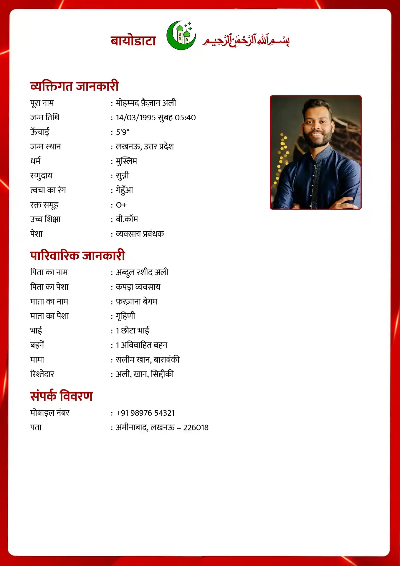 Abstract Flames biodata template