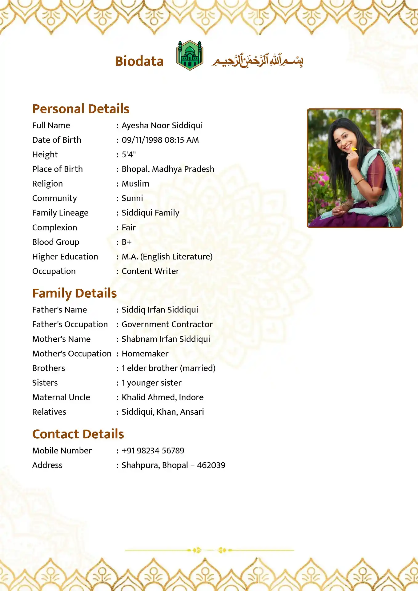 Classic 2 biodata template
