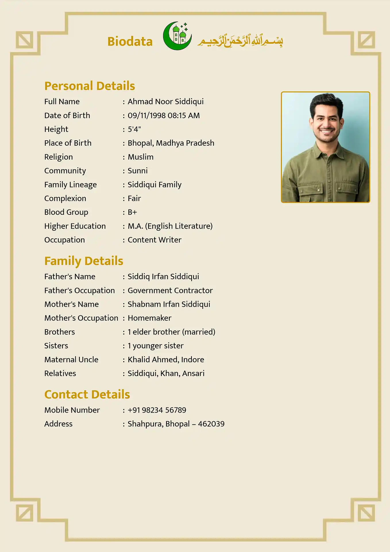 Classic 6 biodata template