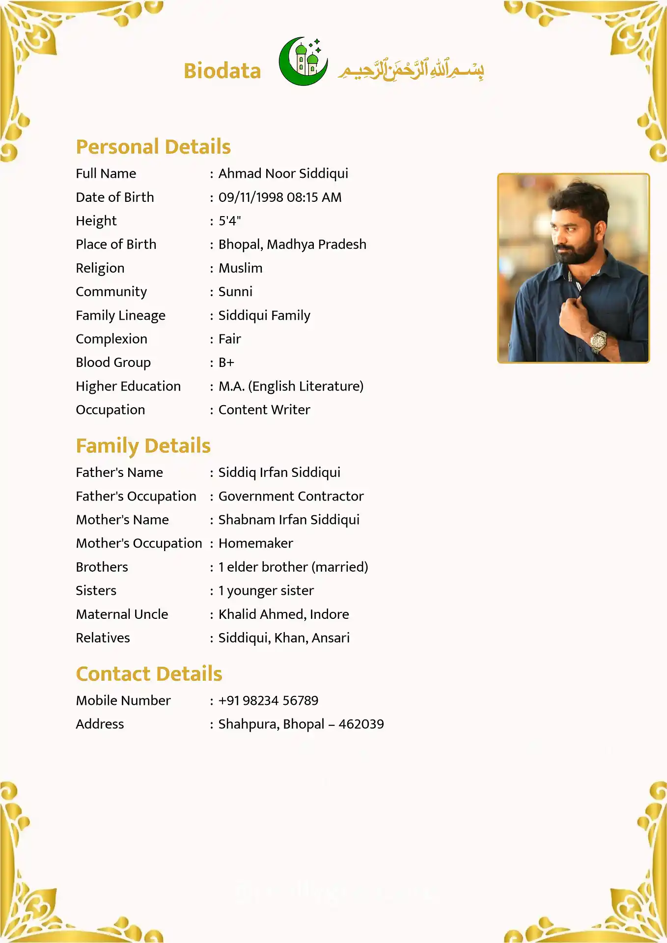 Classic 7 biodata template